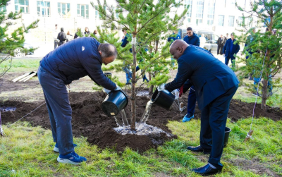 30 сосен к 30-летию Конституции: международная акция в Астане