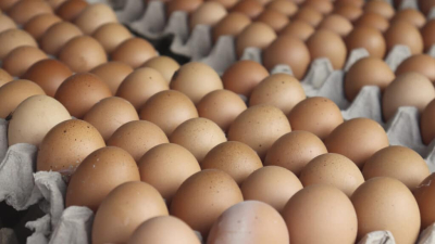 Казахстанцы жалуются, что цены на яйца выросли на 600 тенге за неделю