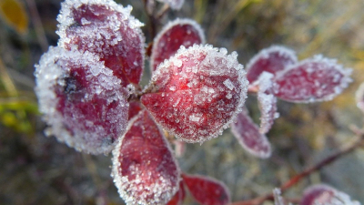 Заморозки и гроза: в Астане и 13 областях объявлено штормовое предупреждение