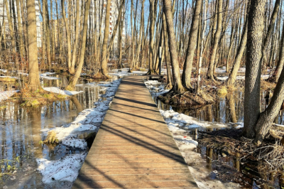 Ученый обнадежил прогнозом весеннего половодья в Прикамье
