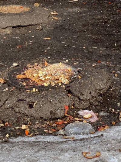 В Челнах насекомые атакуют канализационные колодцы