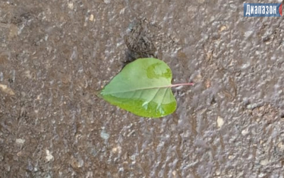 Погода в Актобе на 22-24 ноября