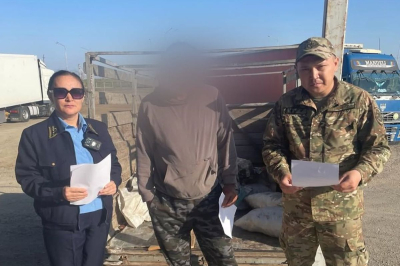 Груз без фитосанитарных документов вернули обратно в Россию