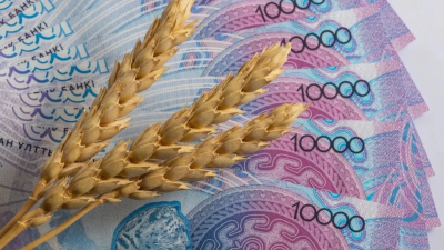 Казахстан усиливает позиции на зерновом рынке Центральной Азии