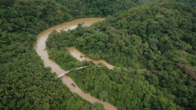 В Тайланде нашли расчлененное тело пропавшего россиянина 01/02/2026 &ndash; Новости