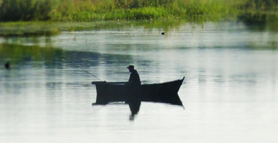 В Луизиане рыбак поймал красного горбыля на 31 кг, но рекорд не засчитали