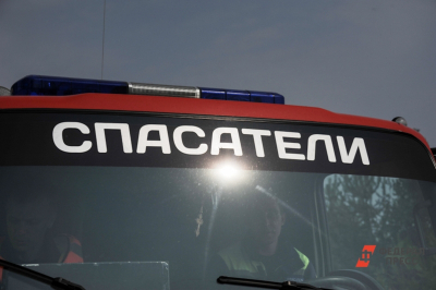Спасатели обнаружили тело второго подростка, пропавшего в Звенигороде