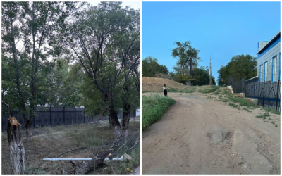 Народный репортер. Аллея за горакиматом превратилась в нечто