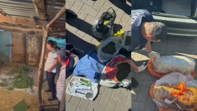 С начала года в РК изъяли более 11 тонн наркотиков