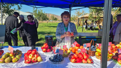 Бесценный плод