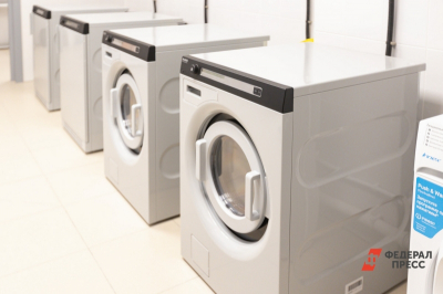 В Челябинске живодер постирал кота в машинке и выкинул на мороз