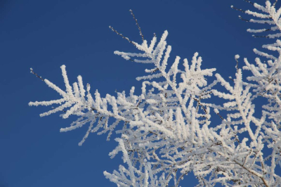 Какой будет зима в Казахстане, рассказали синоптики