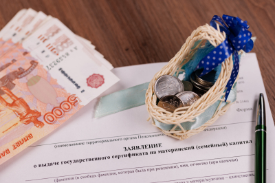 Депутат рассказала, как получить остаток материнского капитала деньгами