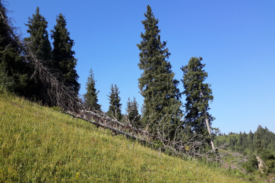 Жаркий и опасный сентябрь: где в Казахстане сохраняется пожарная опасность