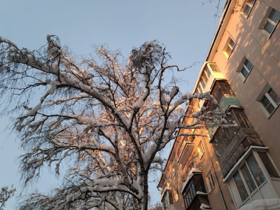 Теплый февраль ожидает тюменцев: ниже 25 градусов мороза не будет